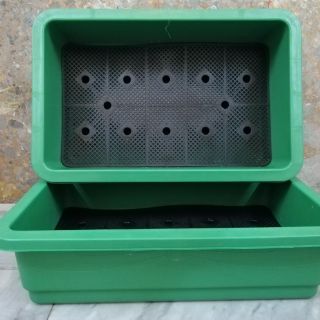 ☘️Combo 2 Chậu nhựa 65x42.5x16 màu xanh rêu trồng rau