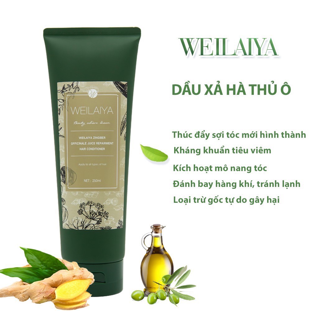 Dầu xả Weilaiya ngăn rụng tóc và dưỡng tóc giúp kích thích mọc tóc hà thủ ô 250ml