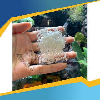 Dừa sấy khô dành cho Hamster namnguyen839