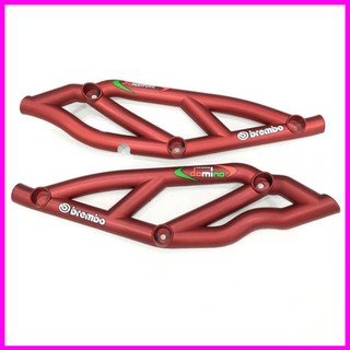 Ốp lốc máy ducati cho winner x