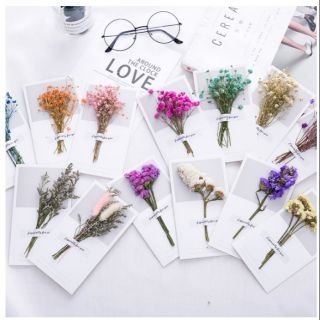 Thiệp hoa khô handmade độc đáo nhắn nhủ yêu thương
