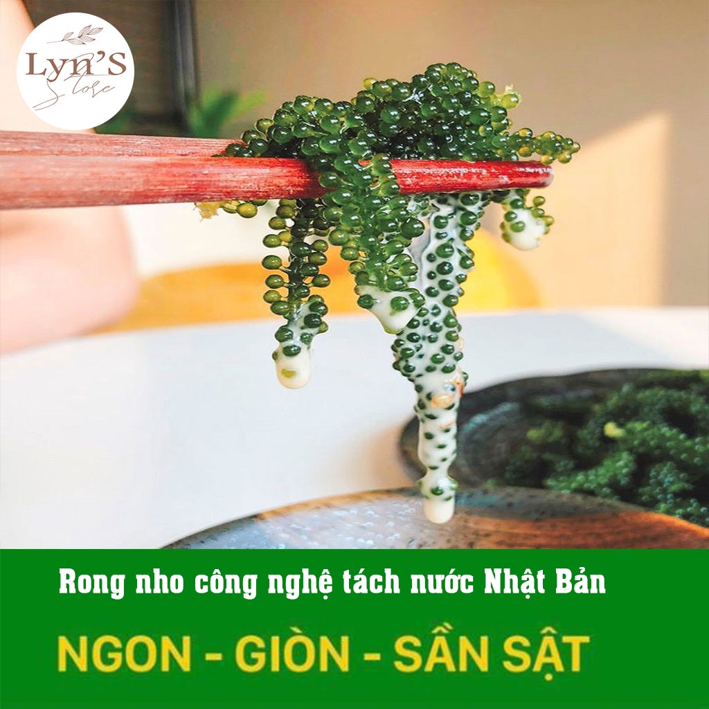 Rong nho tách nước Khánh Hòa  💝 𝑭𝑹𝑬𝑬𝑺𝑯𝑰𝑷 💝 rong nho, công nghệ tách nước chuẩn công nghệ Nhật - túi zipper 25g | BigBuy360 - bigbuy360.vn