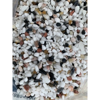 Sỏi Suối 1kg - Trải Nền Trang Trí Bể Cá, Bể Thủy Sinh