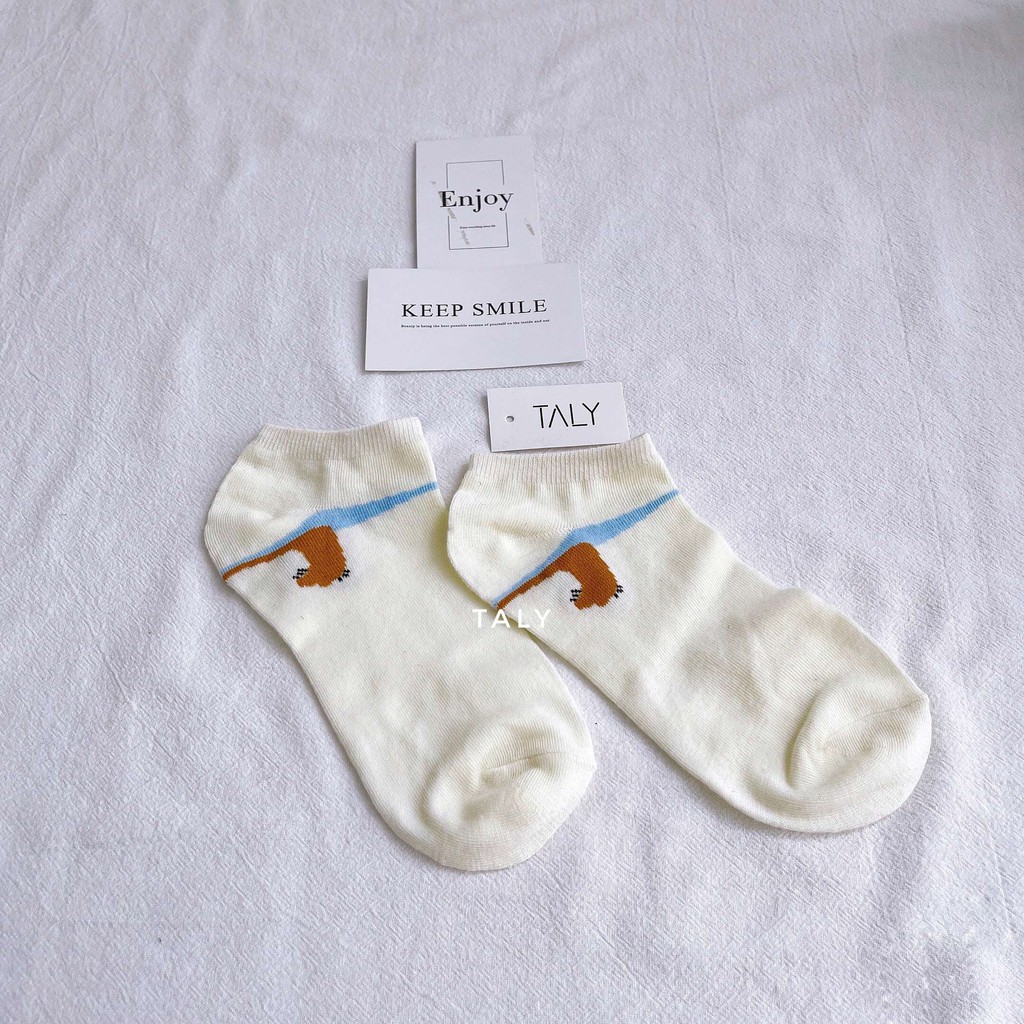 Vớ Cotton TALY