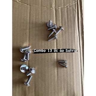 Combo full ỐC SALAYDA gắn Satria