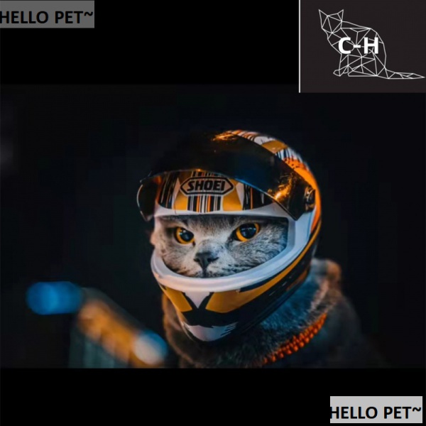Mũ Bảo Hiểm Toàn Bộ Mũ Bảo Hiểm Phong Cách retro Cho Thú Cưng