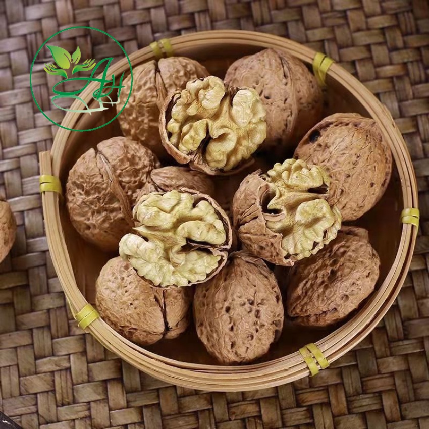 Quả óc chó nguyên vỏ 500G Không sợ hôi dầu Hạt dinh dưỡng - Đồ ăn vặt Healthy BeeNut