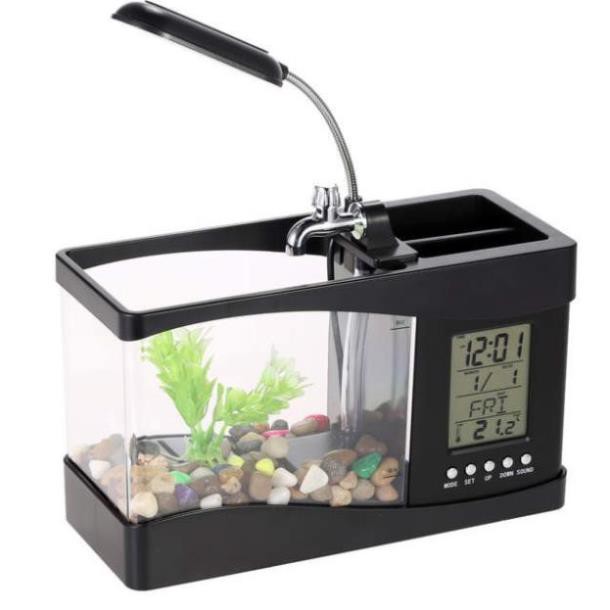 Hồ cá mini để bàn Free ship đồ chơi phong thủy cho bạn không gian thư giãn trong căn phòng của mình