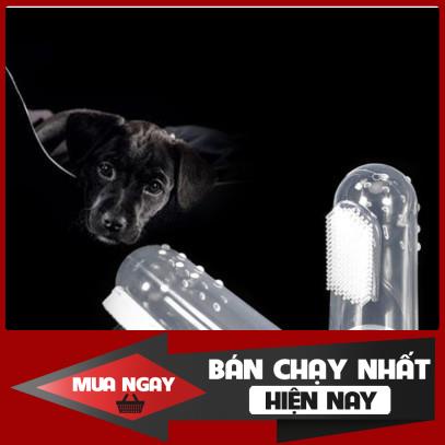 Bàn chải đánh răng cho chó mèo 0