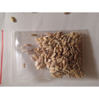 1 lạng hạt giống dưa bở