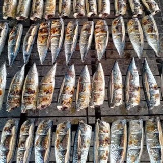 1kg cá nướng bạc má ngon. Ship miền Bắc