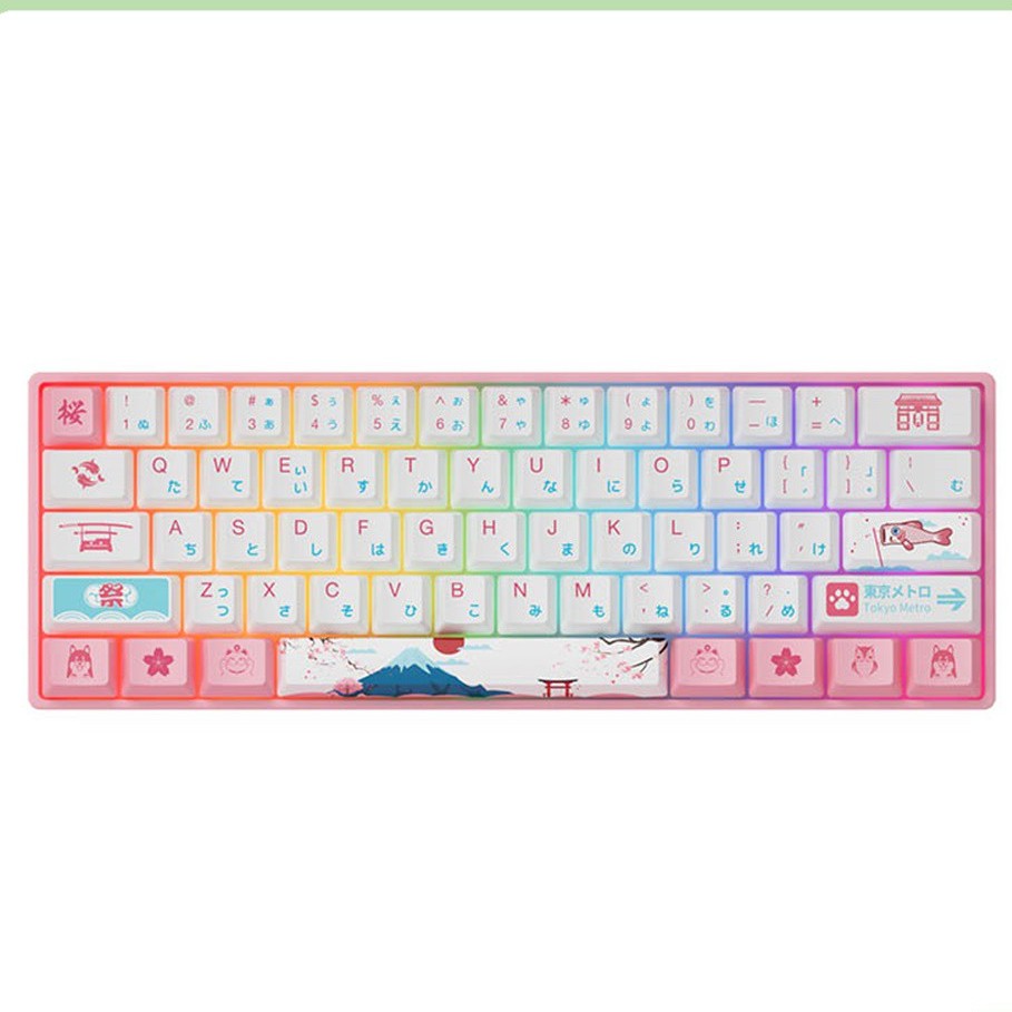 BÀN PHÍM CƠ AKKO 3061 TOKYO R2 LED RGB (GATERON SWITCH)