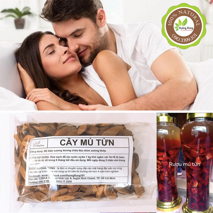 CÂY MÚ TỪN 500g - BỔ THẬN TRÁNG DƯƠNG CỰC MẠNH - trị xương khớp - mú từn khô - ĐẶC SẢN HƯƠNG RỪNG | BigBuy360 - bigbuy360.vn