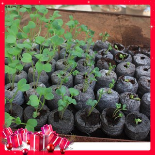 Combo 10 Viên Nén Ươm Hạt Đảm Bảo Cho Hạt Nảy Mầm 99%