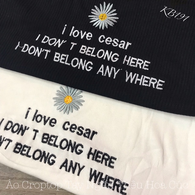 Áo Croptop Tay Ngắn Thêu Hoa Cúc + Chữ