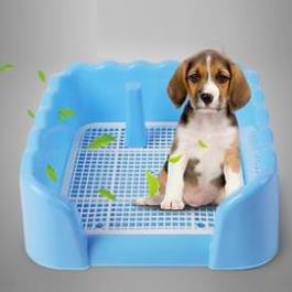 STHA- Khay vệ sinh cho chó size M-Trung (loại có 3 tường chắn) chống văng bẩn chất thải ra nền nhà