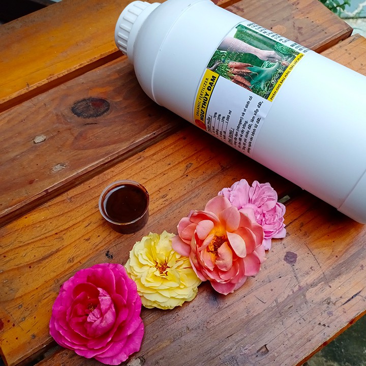 500ml Đạm cá, phân bón kích thích ra rễ, đọt, xanh lá, nhiều hoa, hồng, lan, rau, trái, củ