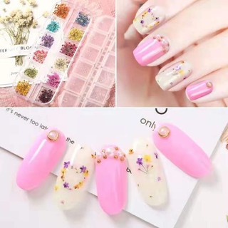 set hoa khô chùm trang trí móng xinh ( 12 màu / set)