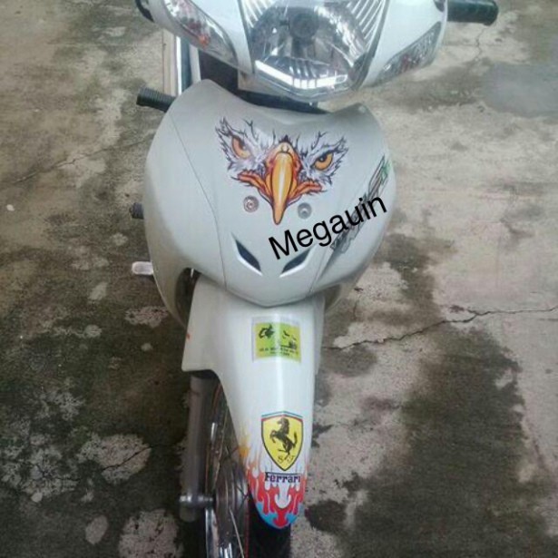 Decal mặt đại bàng 3 lớp chống nước (giá 1 cái)