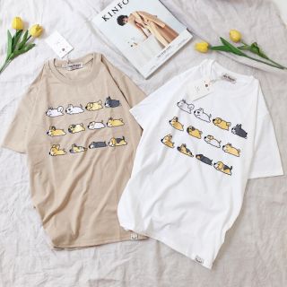 Áo in hình nhiều cún con - ảnh thật