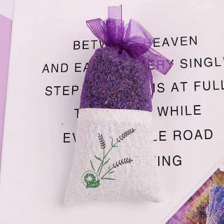 Nụ hoa Lavender