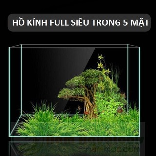 Hồ Kính Full Siêu Trong 5 Mặt - Mài Vi Tính, Dán Dấu Keo Cực Đẹp