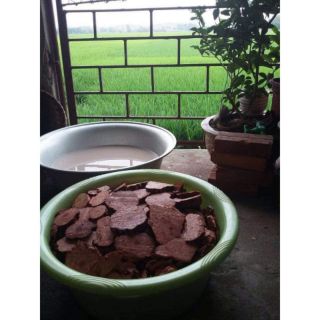 Hà Thủ Ô Đỏ 1Kg (Đã Sơ Chế)