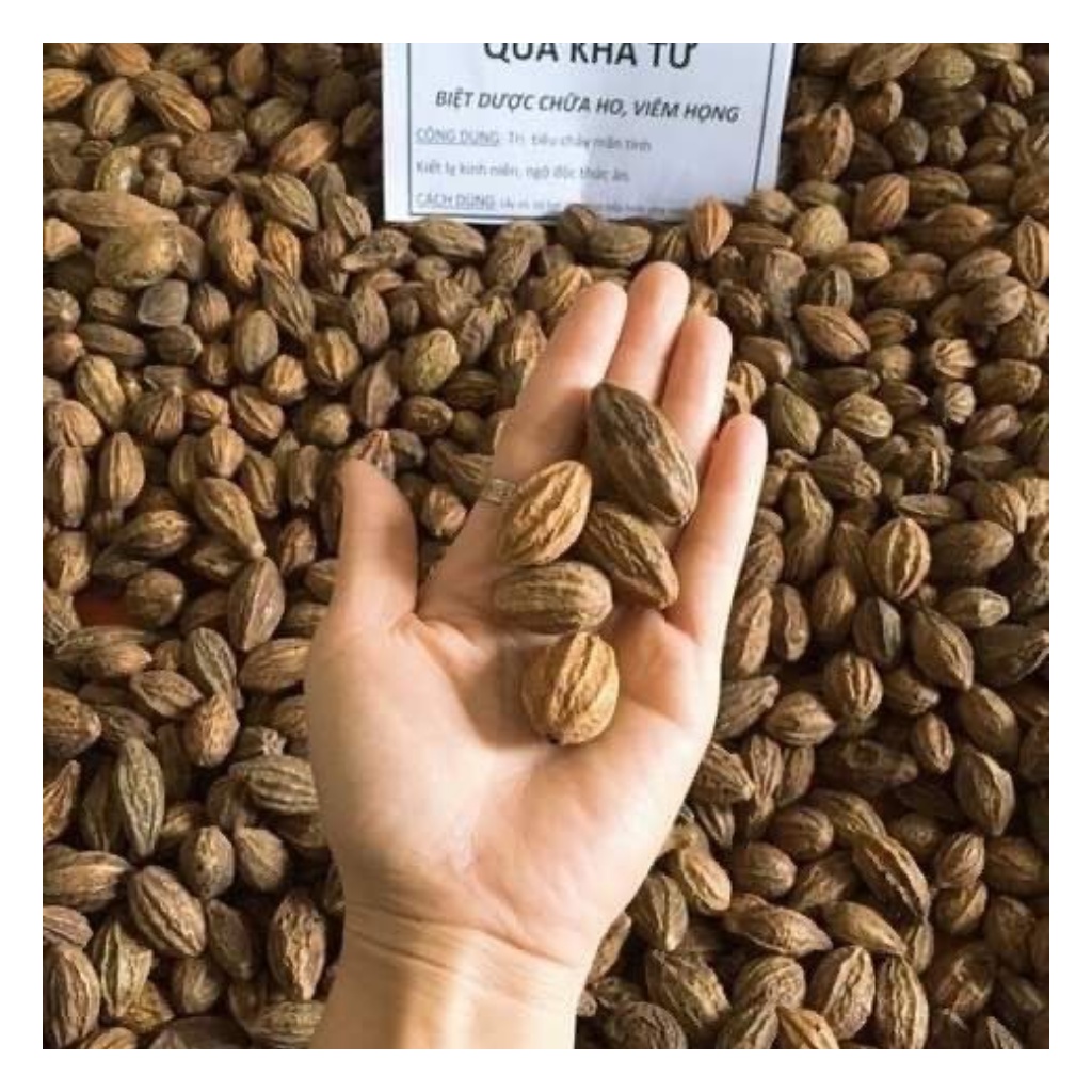 Quả Kha Tử hỗ trợ giảm ho, mất tiếng, đổ mồ hôi trộm, đau họng | BigBuy360 - bigbuy360.vn