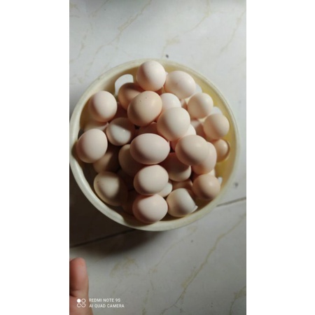 [Q. BÌNH TÂN] TRỨNG GÀ TA 10 QUẢ - NOWSHIP