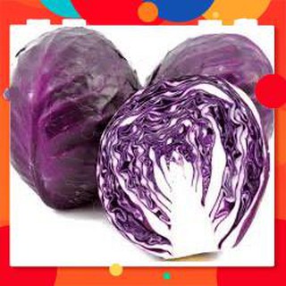 HẠT GIỐNG BẮP CẢI TÍM GÓI 2 GRAM