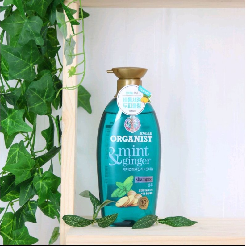 Dầu gội nuôi dưỡng tóc Organist dành cho tóc và da đầu gàu -gừng và bạc hà Hàn Quốc chai 500ml