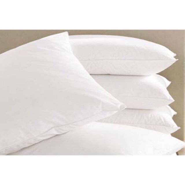 Gối gòn hơi 50x70