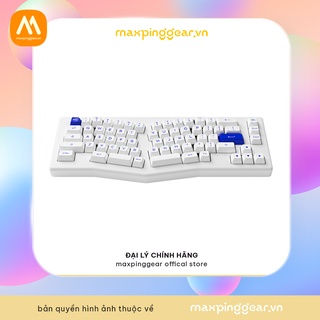 Bàn phím cơ Akko ACR Pro Alice Plus (RGB / Hotswap / Gasket Mount / AKKO CS Crystal)