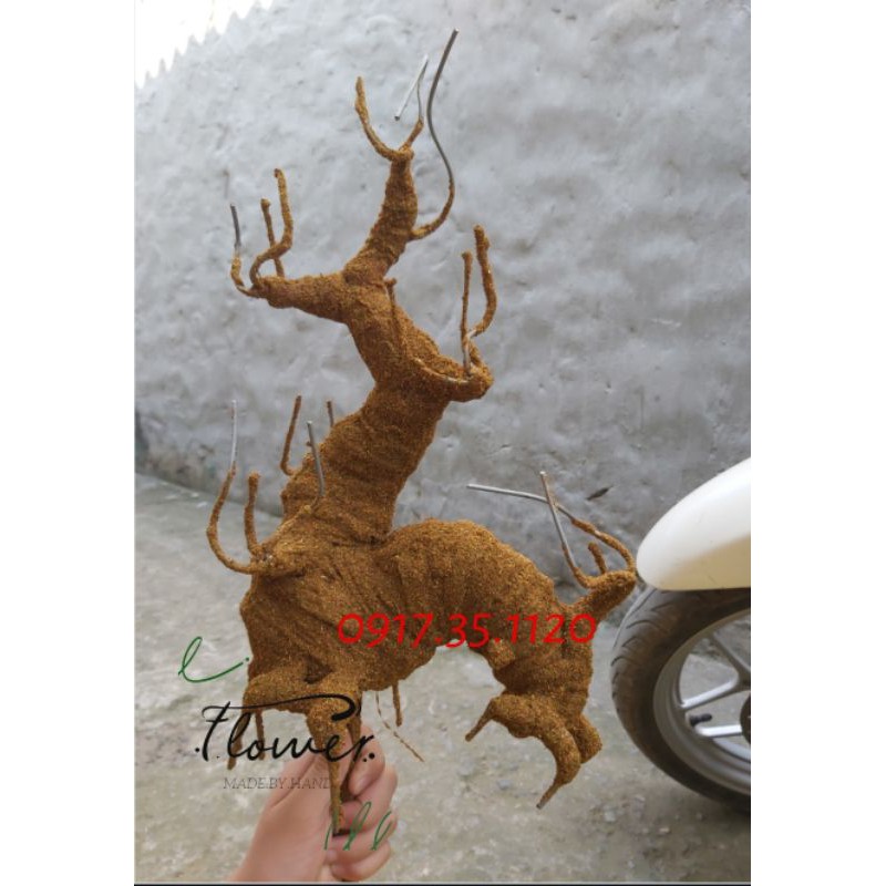 Gốc rồng làm cây mai cây đào đẹp