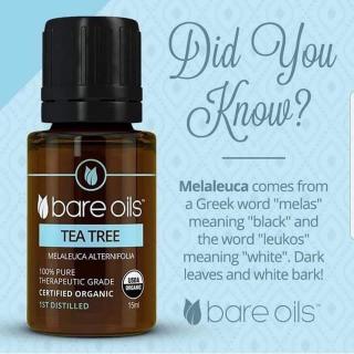 Tinh dầu tràm trà - Tea Tree Essential Oil (Tinh dầu hữu cơ Bare Oils - USDA Organic)