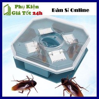 Dụng cụ bắt gián tiện lợi , hiệu quả cho gia đình