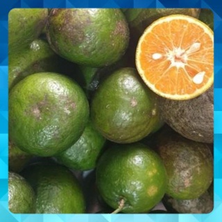 trái cam sành ngon ngot quê Vĩnh Long sẵn kho quận Tân Phú