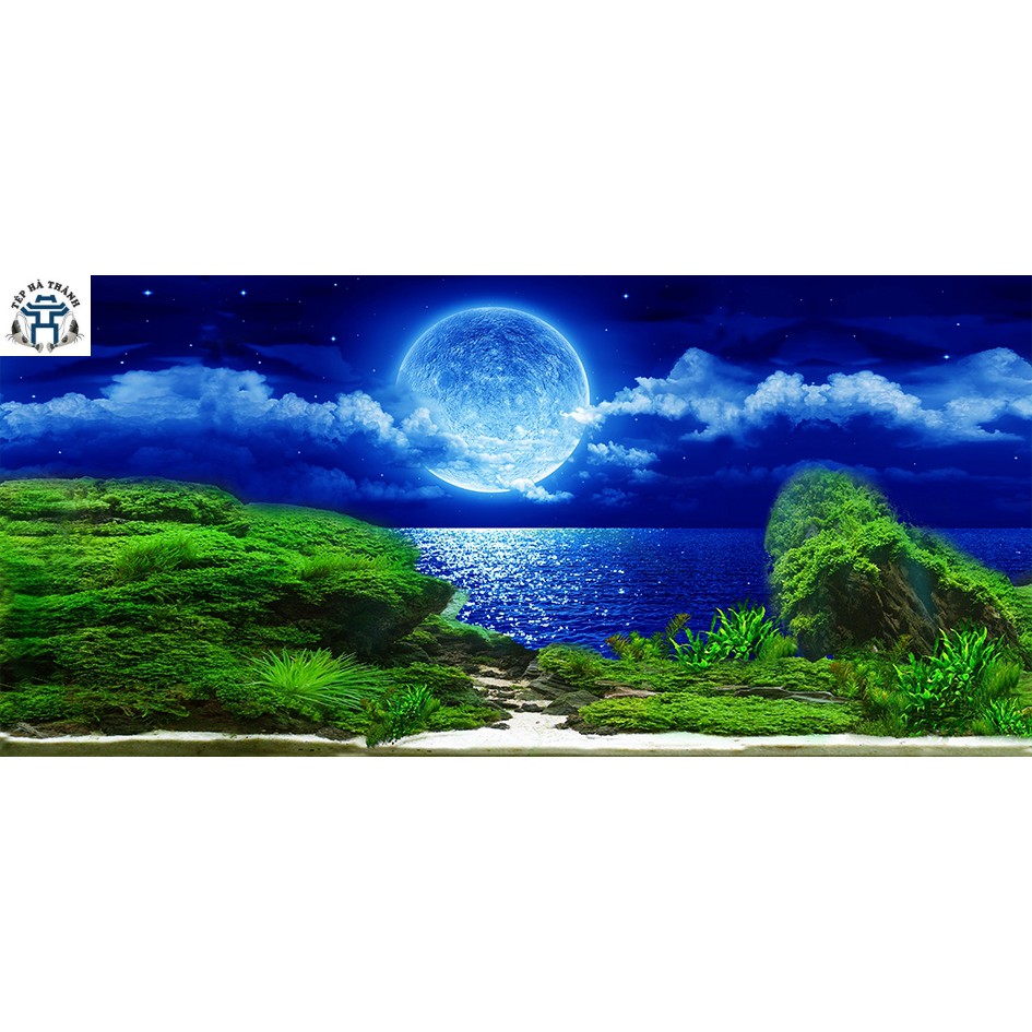 Tranh Decal 3D Dán Bể Cá Cảnh, Bể Thủy Sinh Mẫu 4