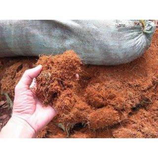 Mụn sơ dừa giá thể trồng cây - 500gr