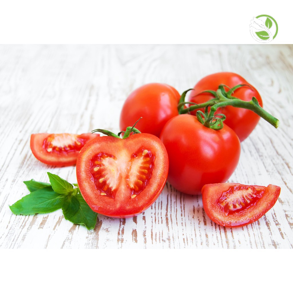 Hạt Giống Cà chua F1 siêu kháng bệnh PN-209 Phú Nông- Gói 0.1gr