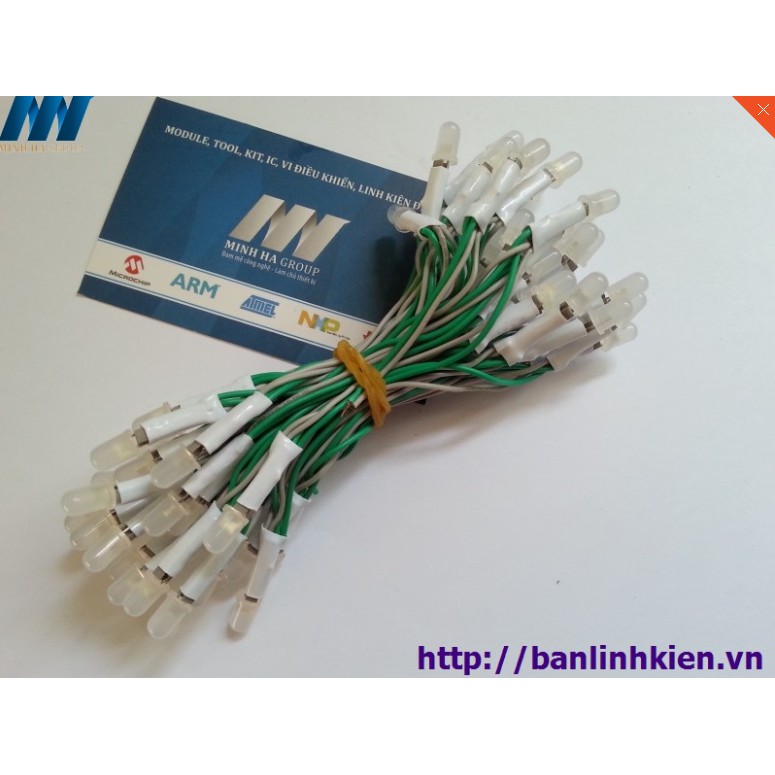 LED Liền Dây Phi 5 Xanh Lá (100 Bóng)