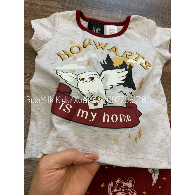Bộ Con Chim hari cho bé gái xuất dư xịn