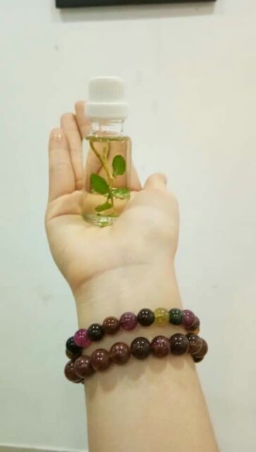 Dầu Chống Say Tàu Xe Nguyên Chất giúp tinh thần thoải mái, chống mệt mỏi, buồn nôn, chống say tàu xe, freeship NuCare