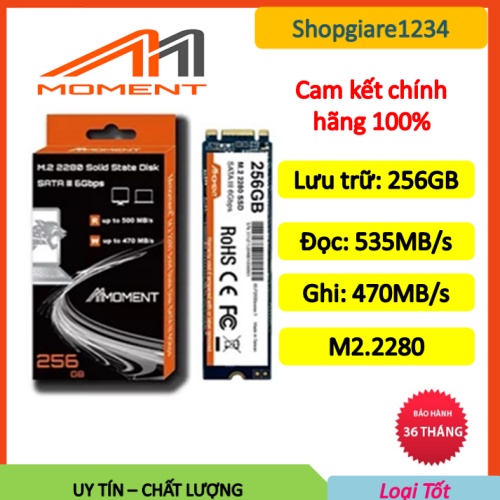 Ổ cứng SSD M2.2280 Moment 256GB chính hãng- Full Box, Bảo Hành 12 Tháng