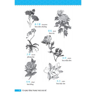 Từ Vựng Tiếng Trung Theo Chủ Đề