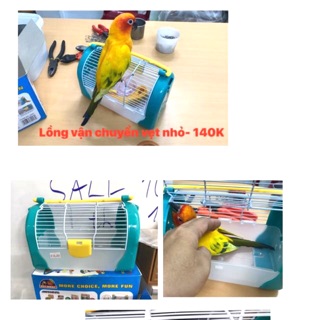 Lồng vận chuyển vẹt nhỏ / hamster 140k.