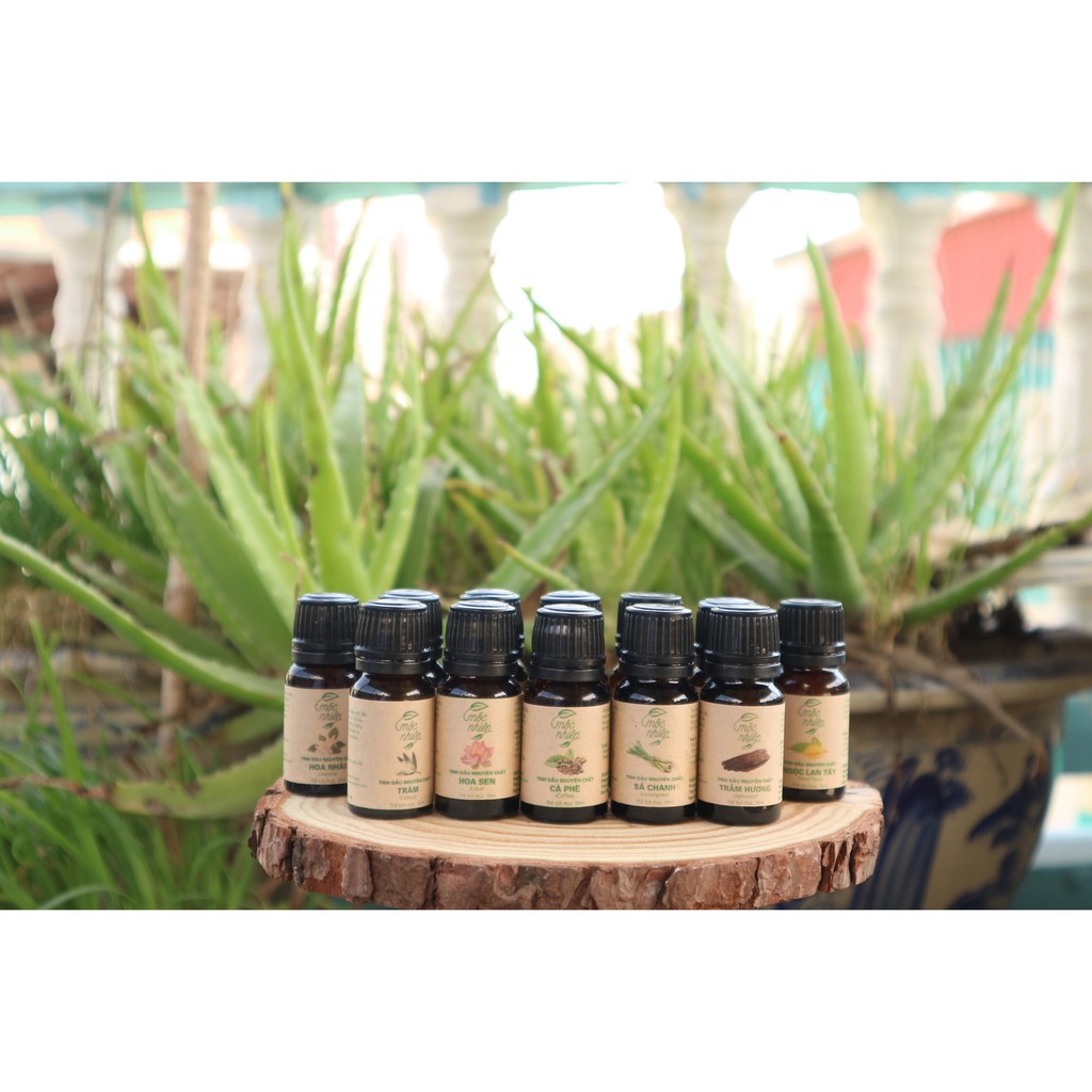 [Combo 3 chai x 10ml] Tinh dầu thiên nhiên cao cấp Mộc Nhiên - đem thiên nhiên vào nhà bạn, giúp khử mùi, kháng khuẩn