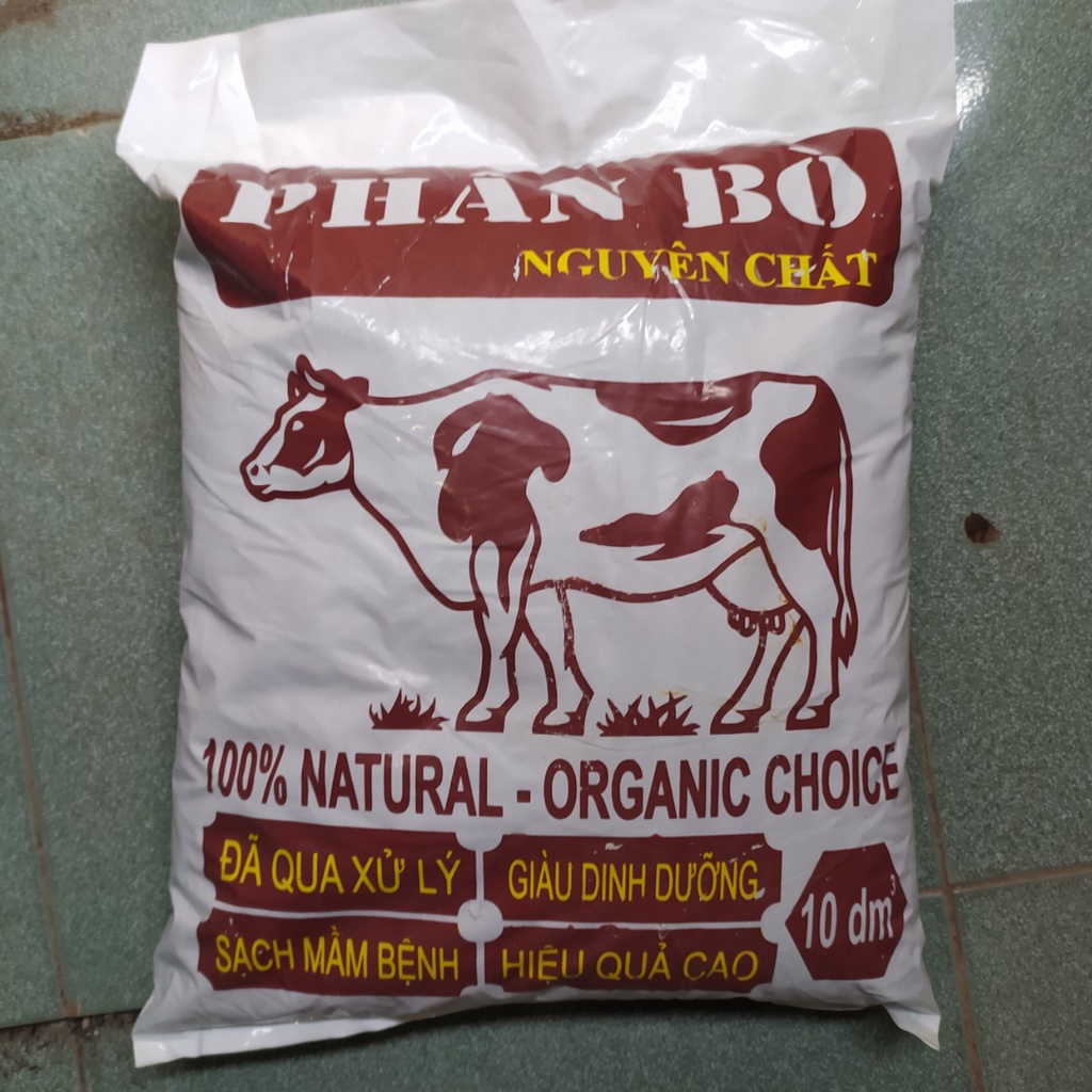 Phân bò nguyên chất  ủ hoai 10dm cho trồng rau đã xử lý