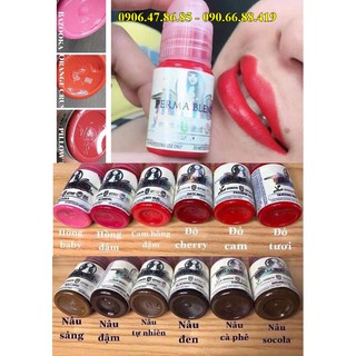 Mực xăm Perma Blend phun xăm Môi Mày Mí của Mỹ 15ml