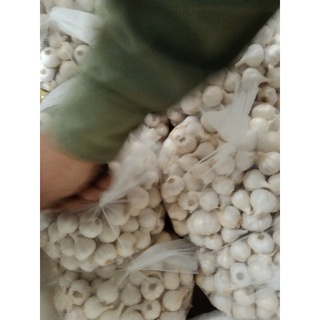 tỏi lý sơn